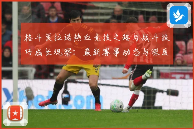 格斗莫拉诺热血竞技之路与战斗技巧成长观察：最新赛事动态与深度分析